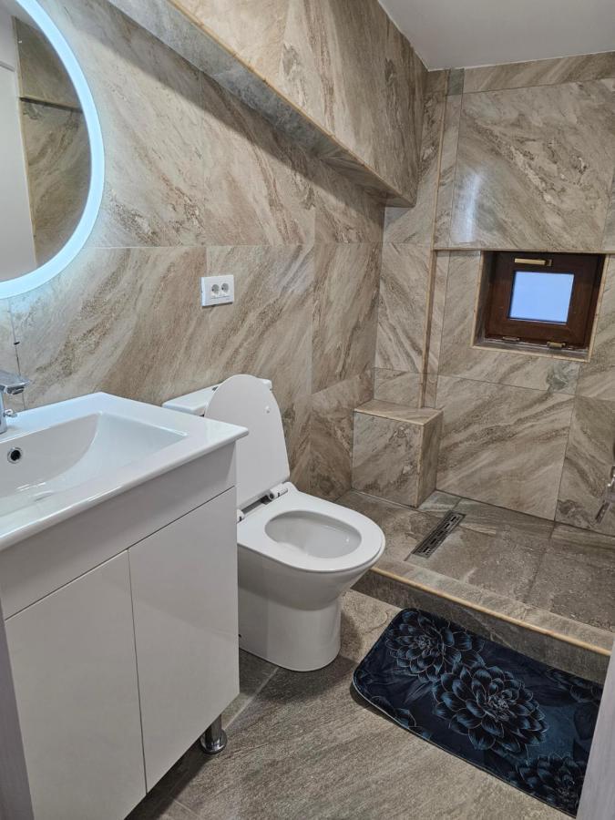 Didi Apartament Craiova Exterior foto